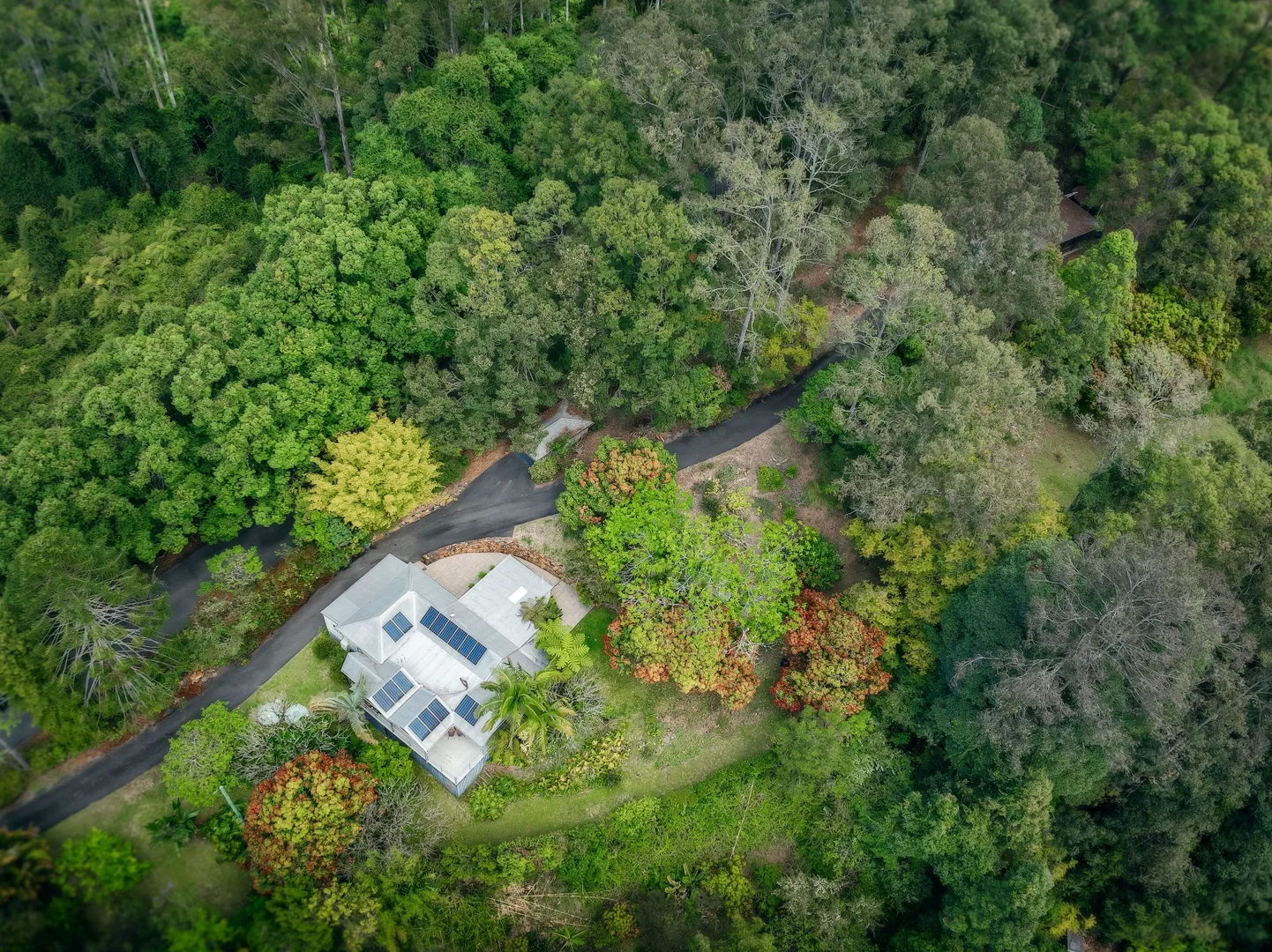 Additional image 6 of 136 Bowraville Road, Bellingen NSW 2454