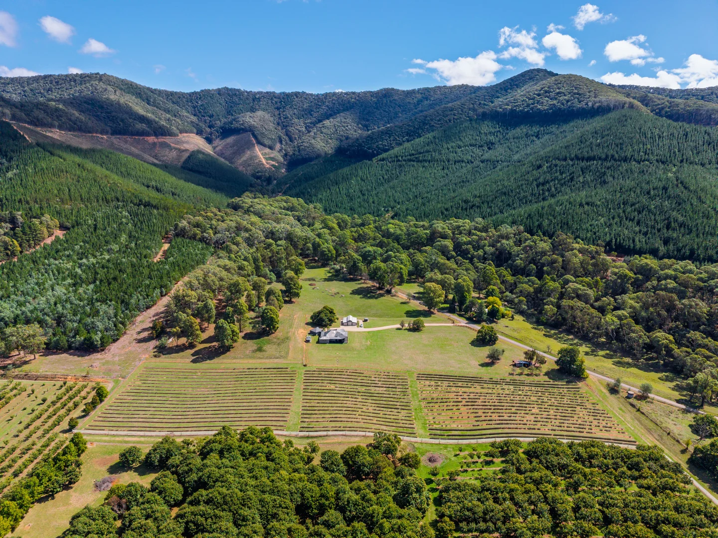 Additional image 36 of 67 Jagoes Gully Road, Wandiligong VIC 3744