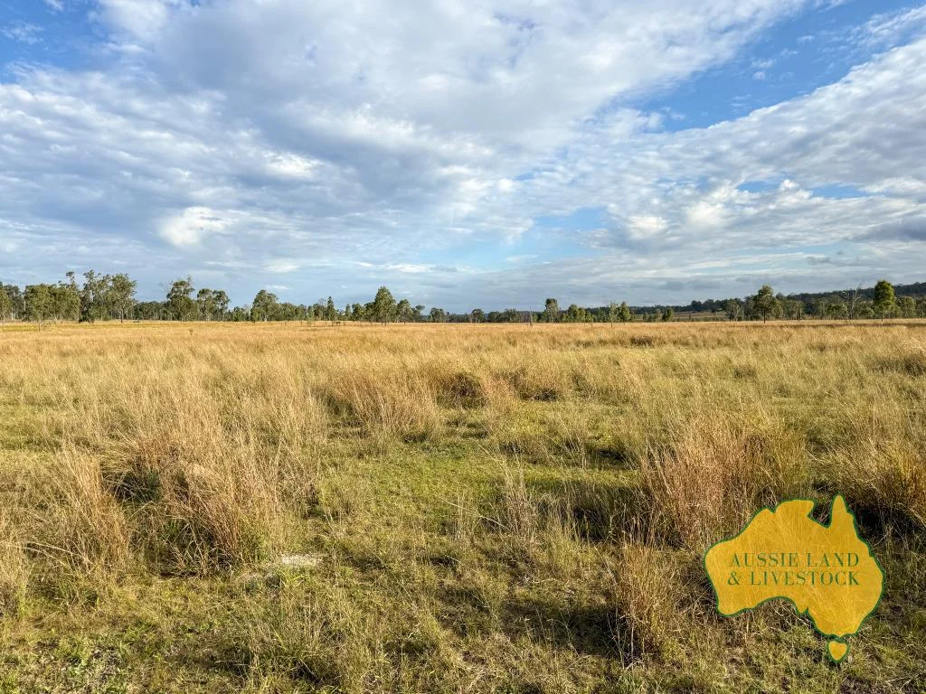 Additional image 40 of 8 SCREENING PLANT ROAD, Cynthia QLD 4627