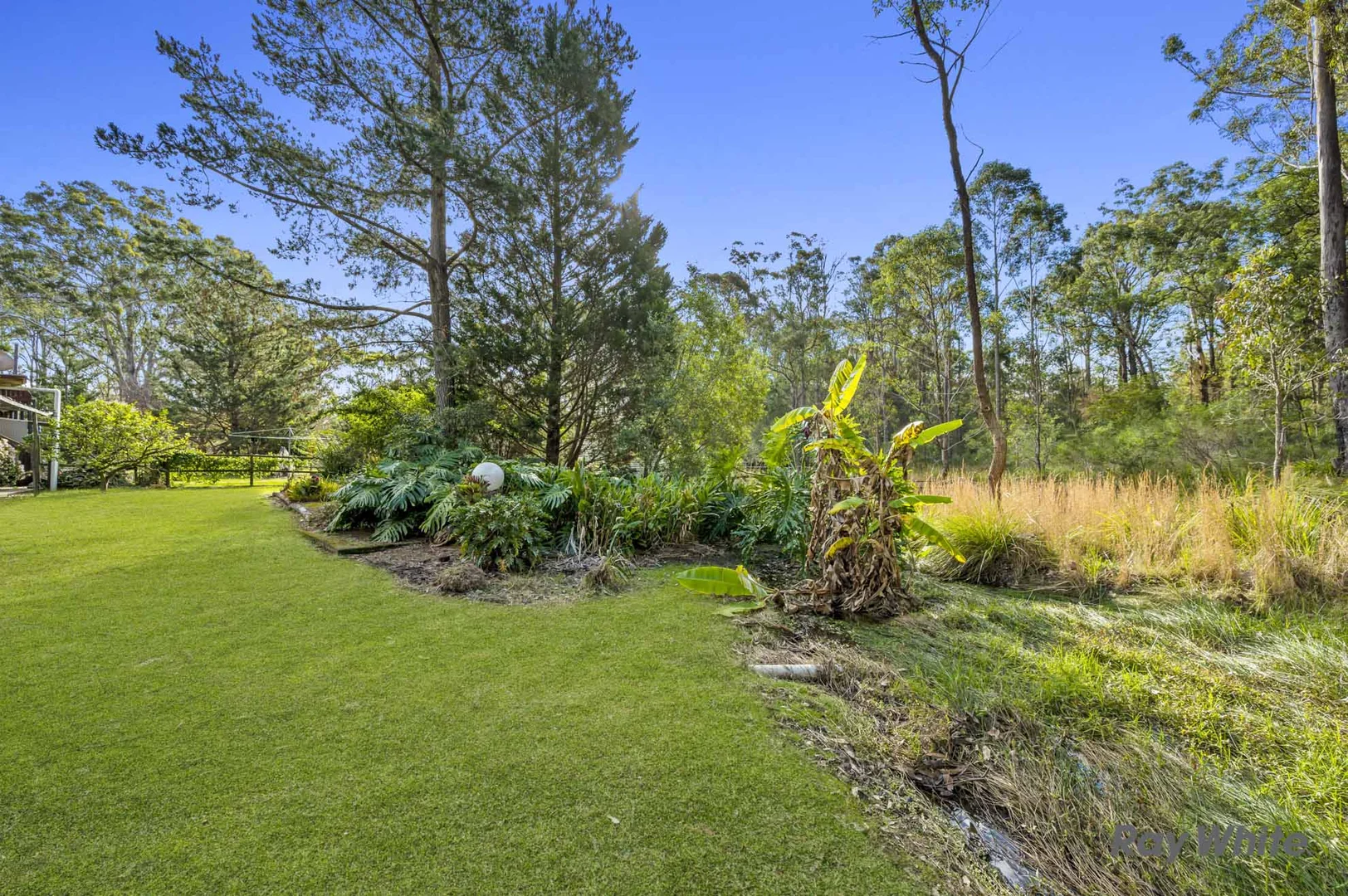 Additional image 22 of 8 Berriman Drive, Congo NSW 2537