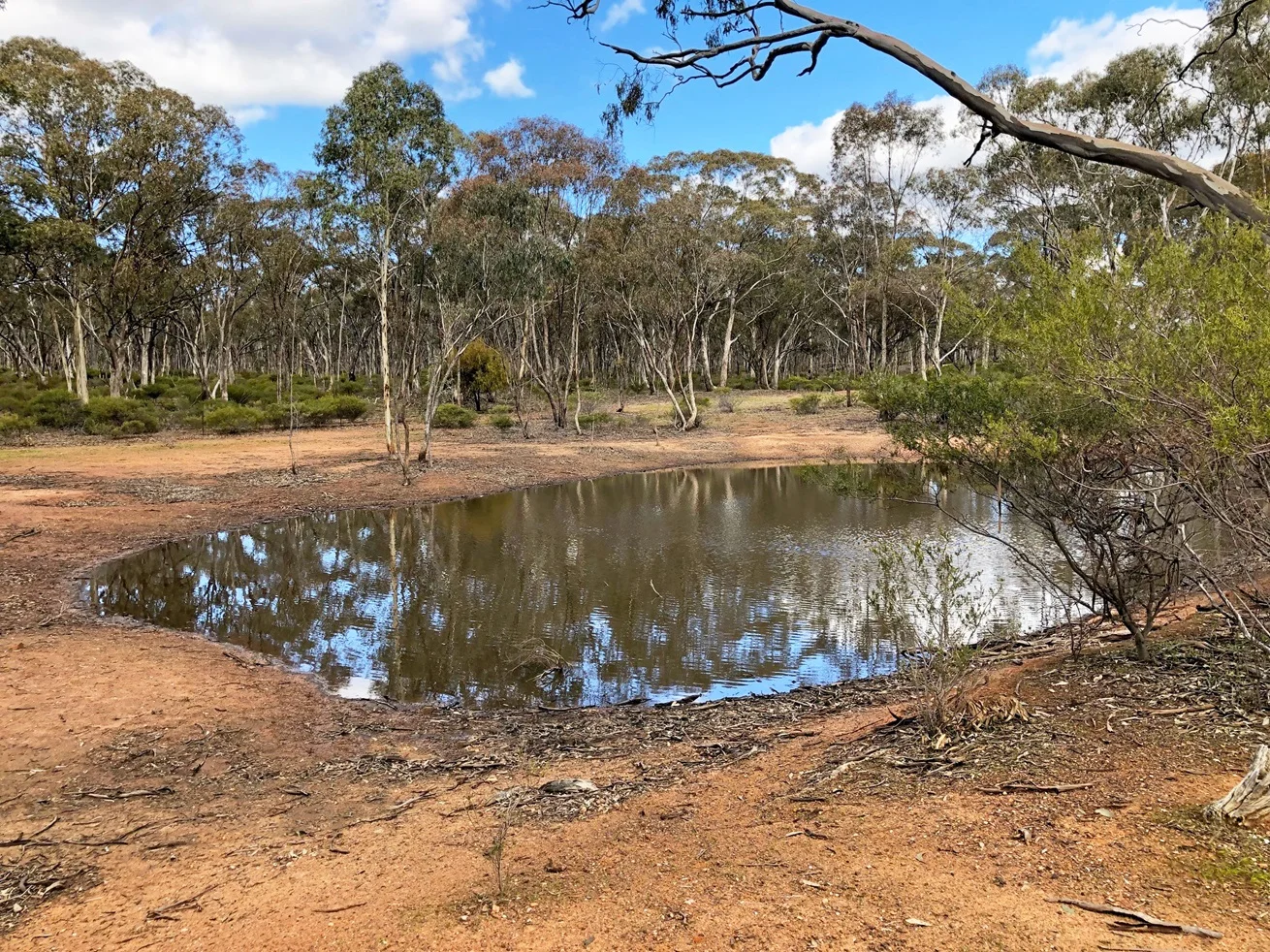 Additional image 4 of 35 Wakefield Street, Wedderburn VIC 3518