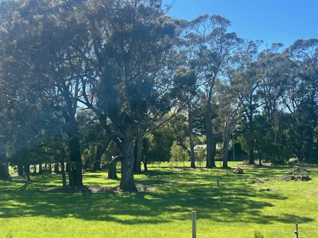 Additional image 7 of 8 Bowen Street, Trentham VIC 3458