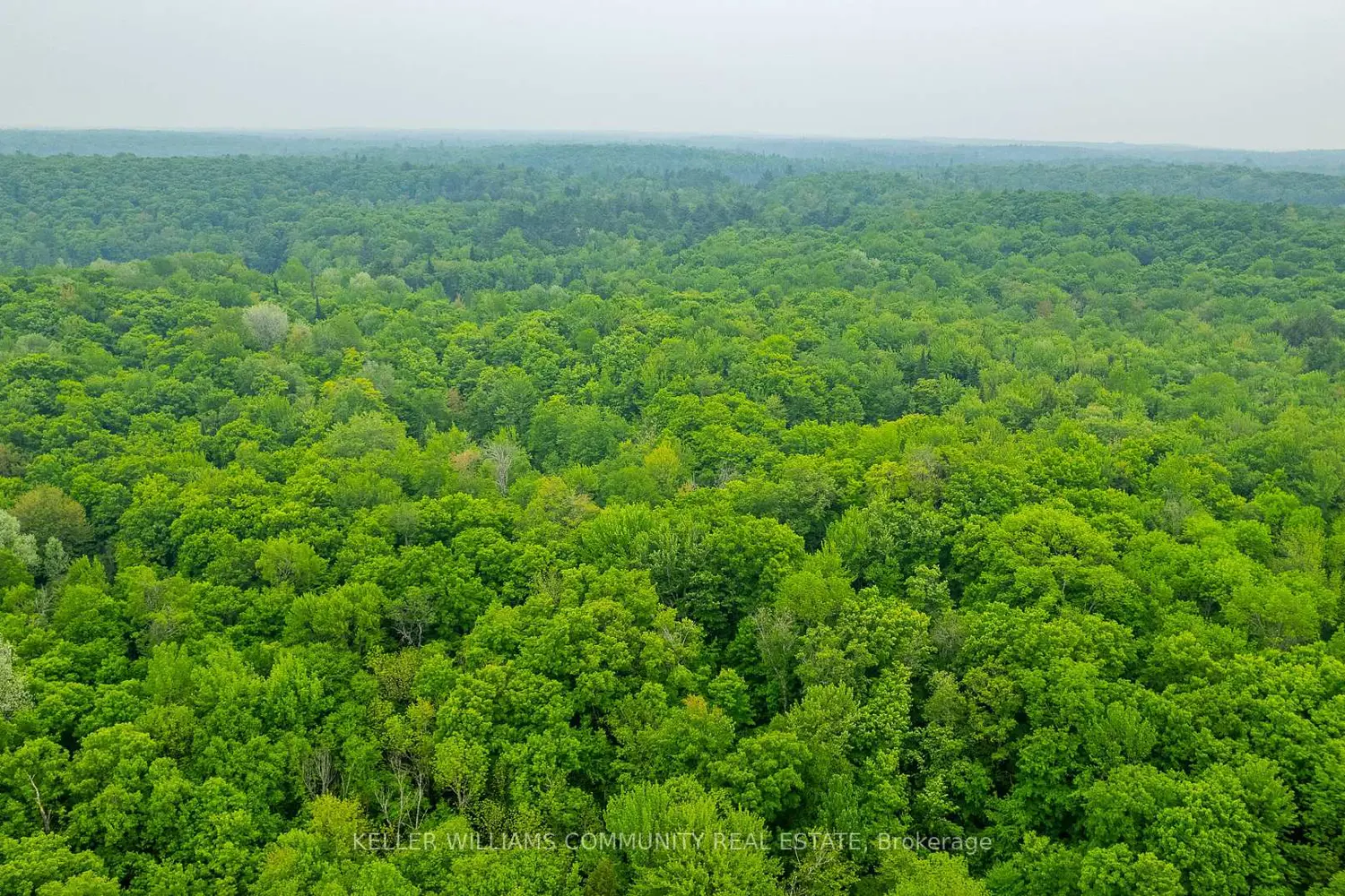 Additional image 7 of 1304 Lower Monmouth Lake Road