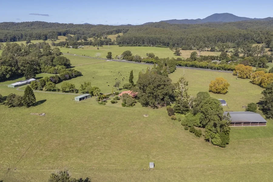 Additional image 19 of 1596 Waterfall Way, Bellingen NSW 2454