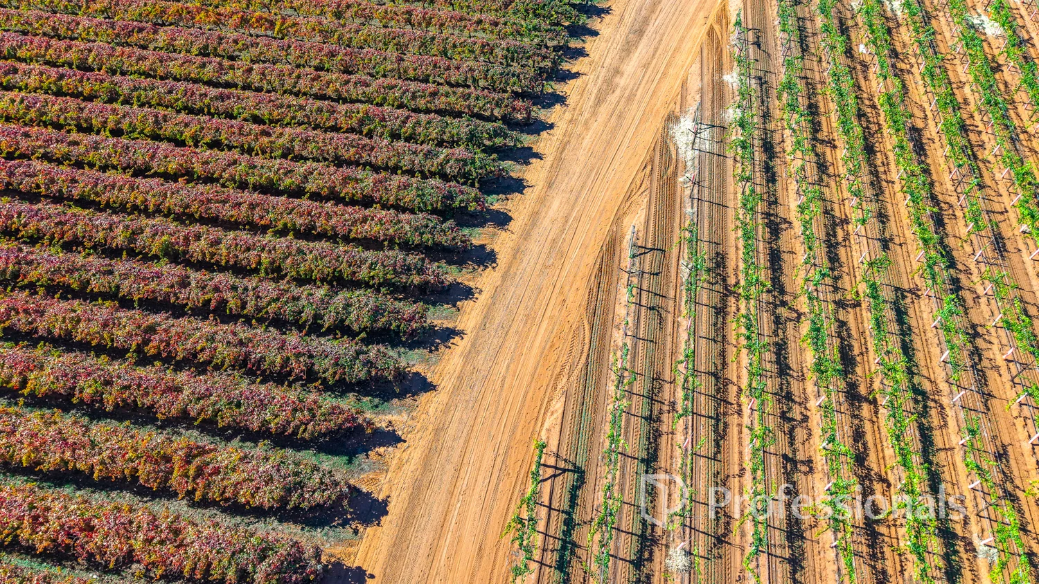 Additional image 14 of 225 Stewart Road, Red Cliffs VIC 3496