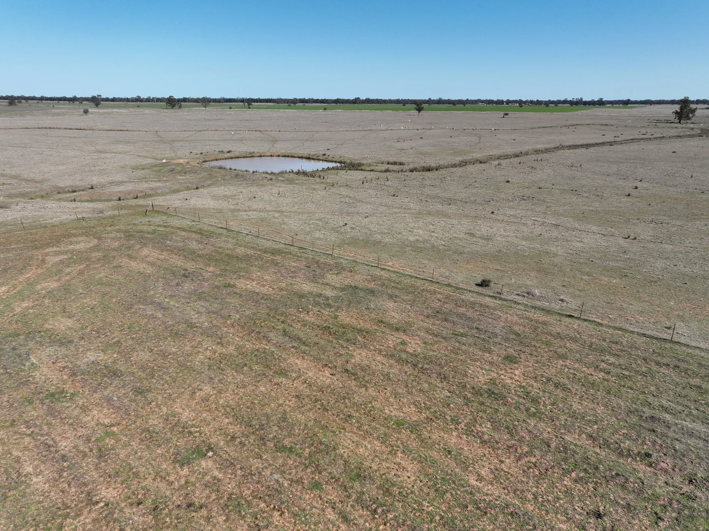 Additional image 13 of 'West Tarrawonga' 56 Donnelly Road, Eumungerie NSW 2822