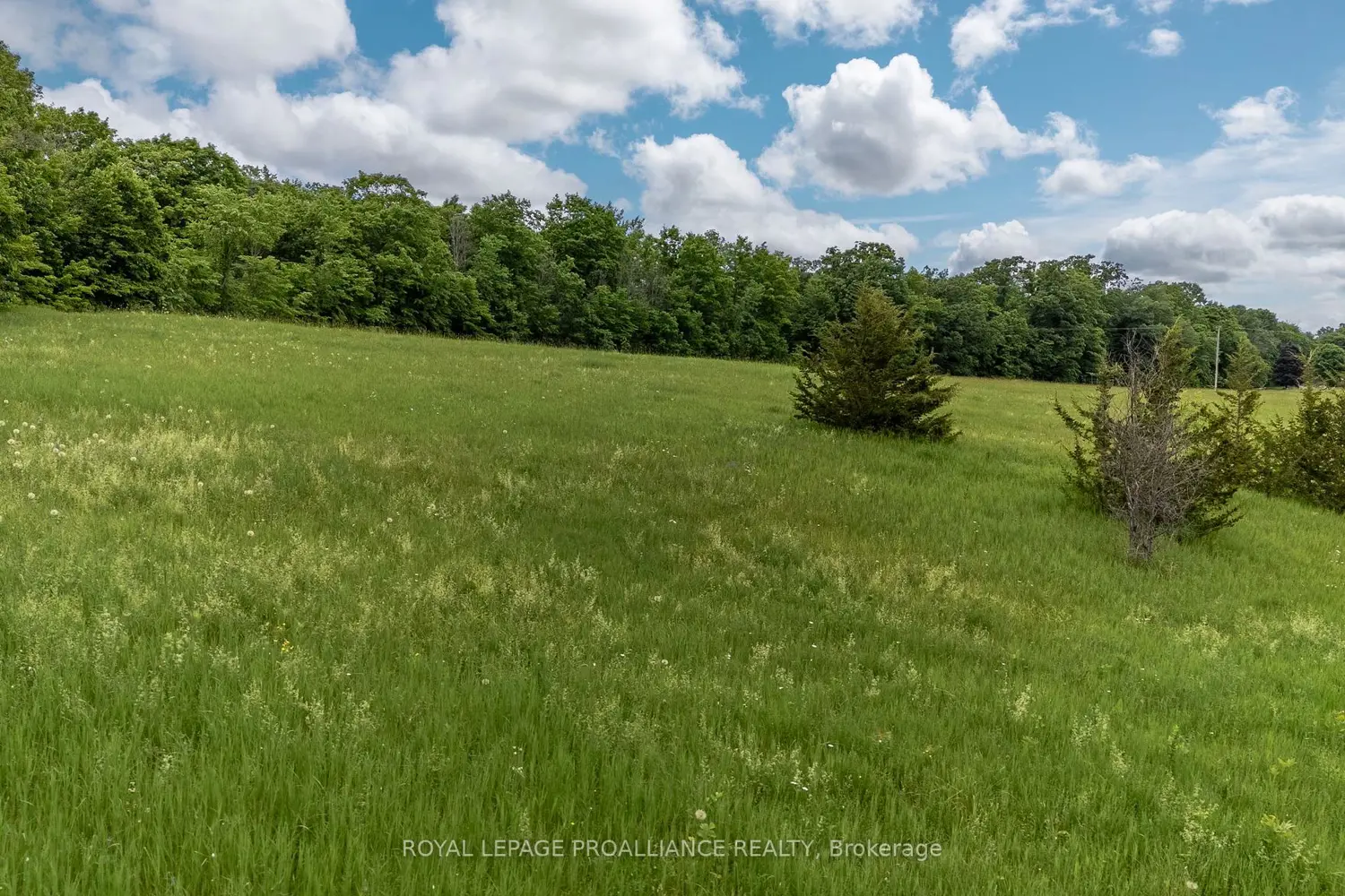 Additional image 10 of 5035 Blessington Road