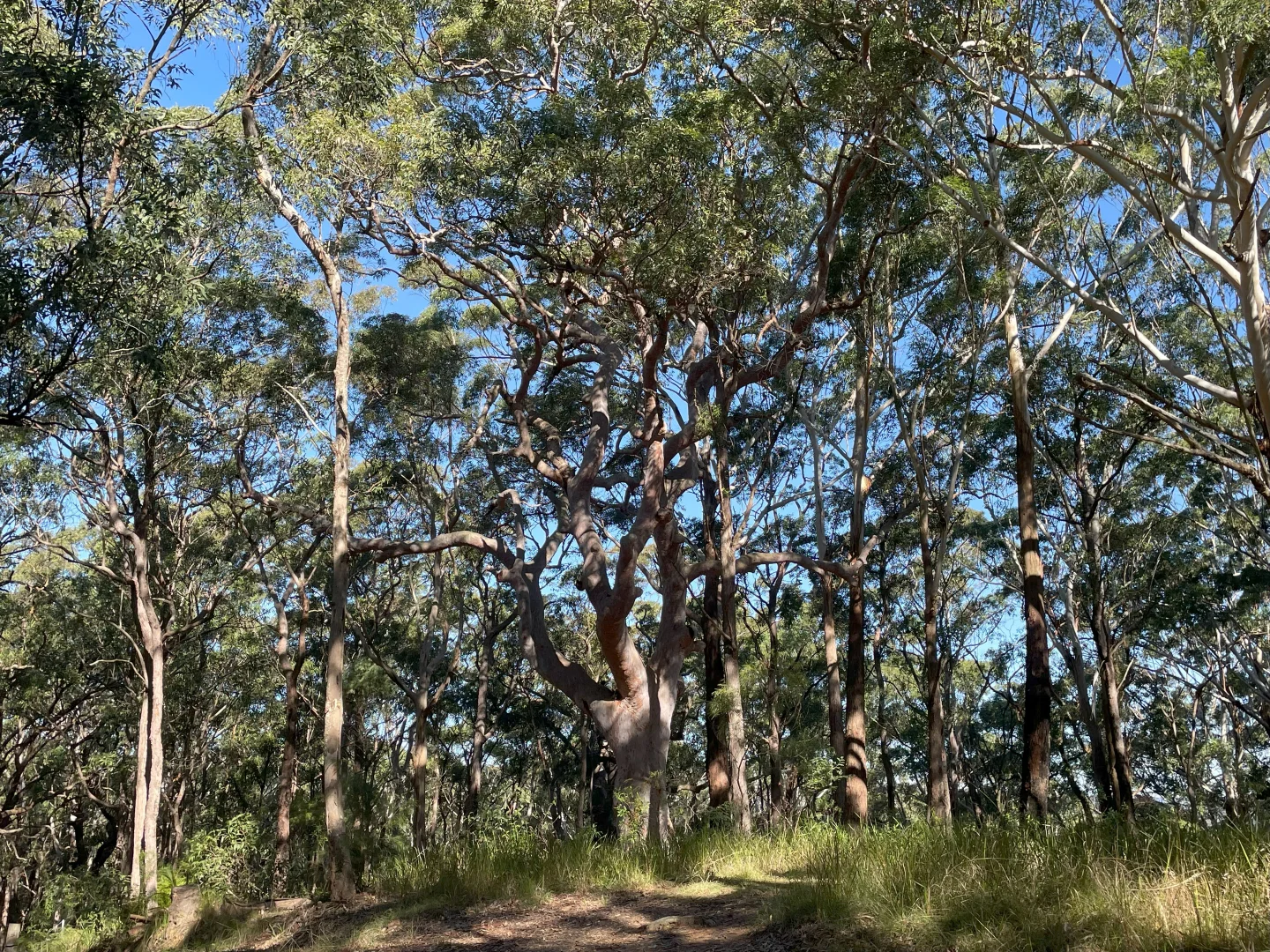 Additional image 16 of 20 James Norton Road, Bensville NSW 2251