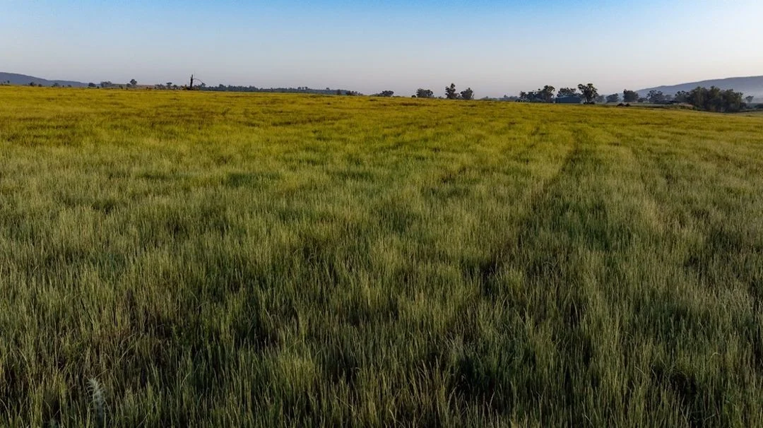 Additional image 14 of Garrambeel, Bingara NSW 2404