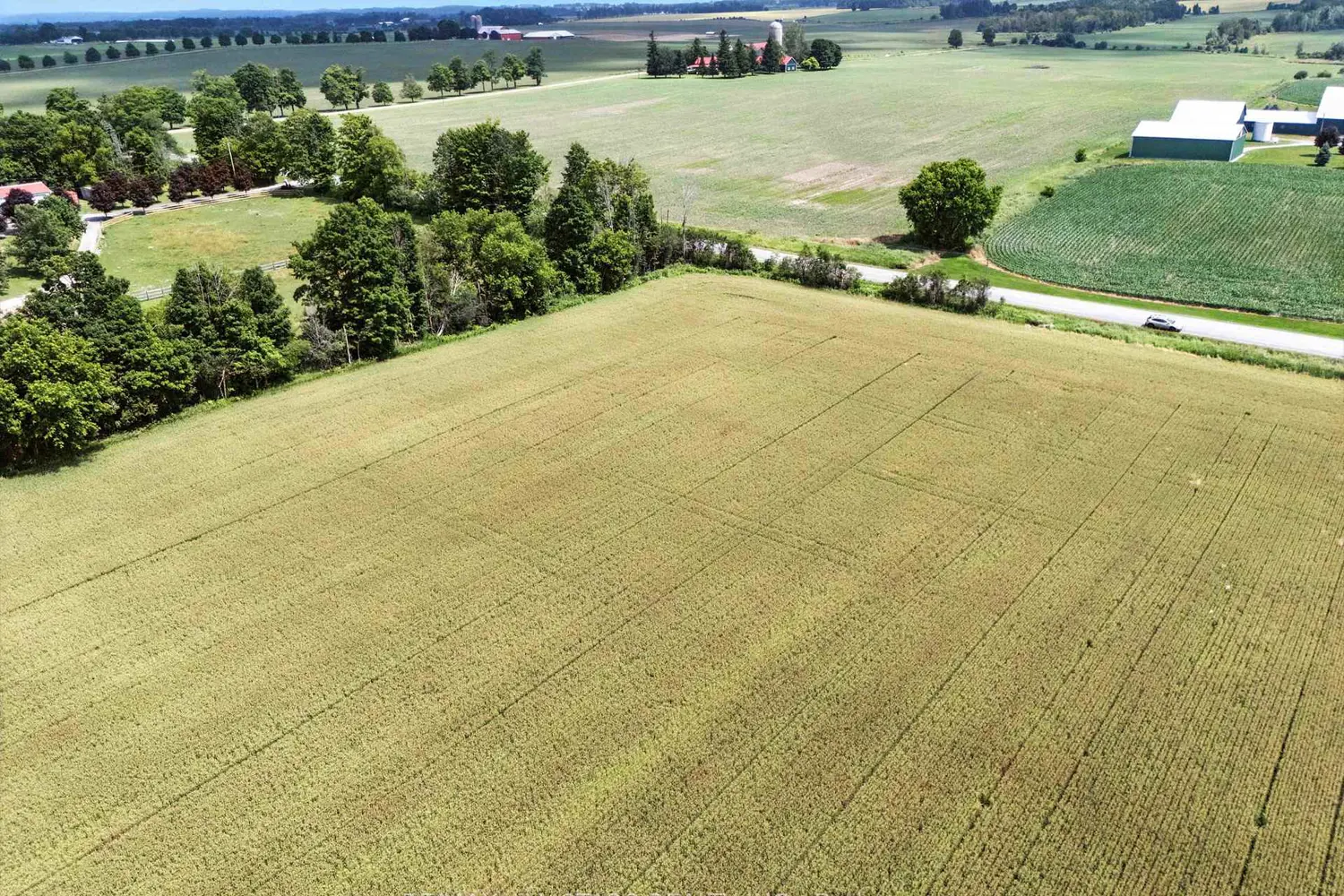 Additional image 13 of 0 Scugog Line 4