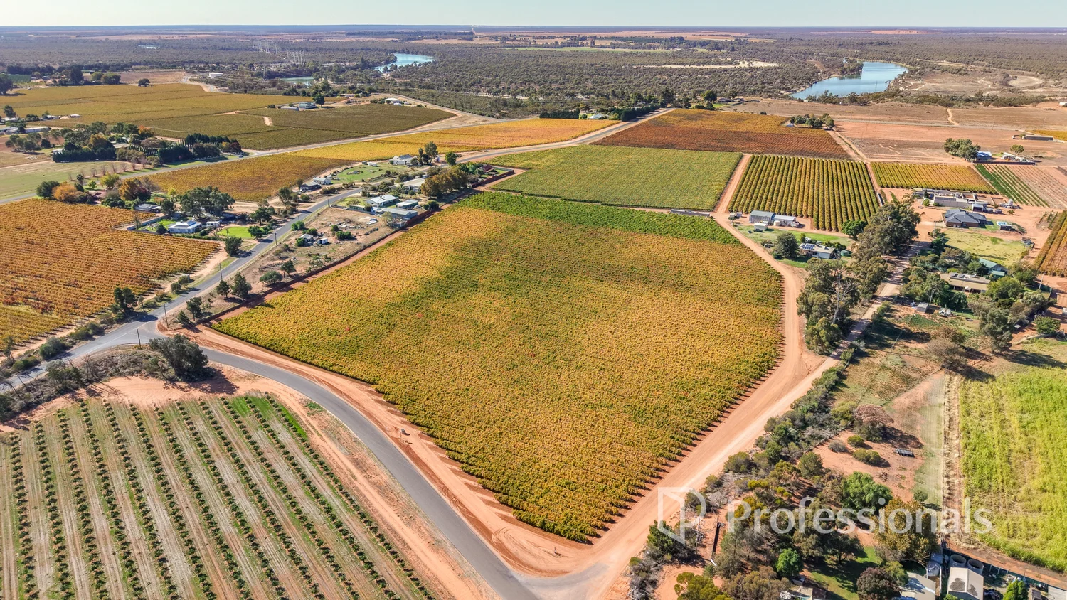 Additional image 18 of 225 Stewart Road, Red Cliffs VIC 3496