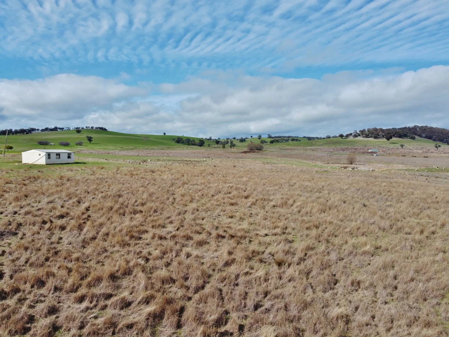 Additional image 9 of 127 Calabash Road, Murringo, via, Young NSW 2594