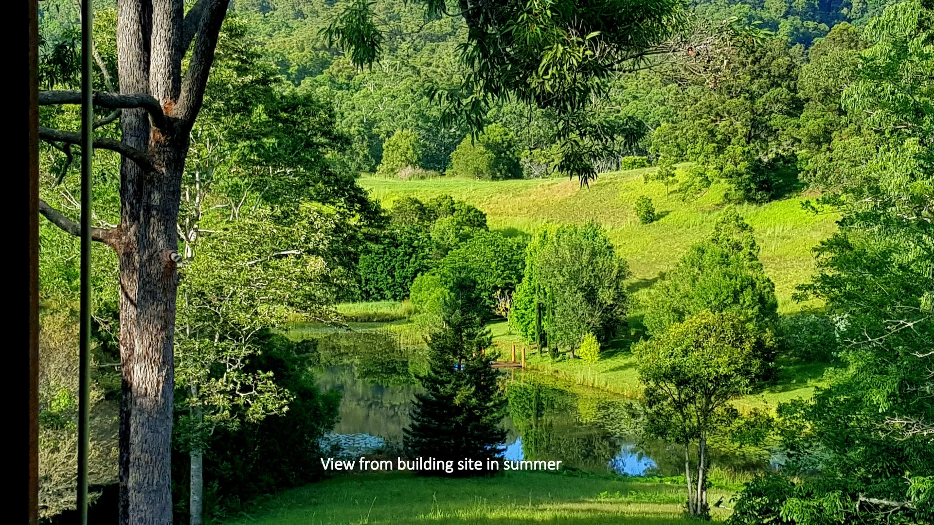 Additional image 22 of Bellangry NSW 2446