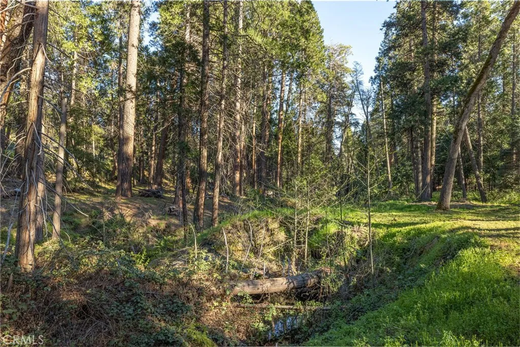 Additional image 130 of 36273 Finegold Creek Dr, North Fork, CA 93643