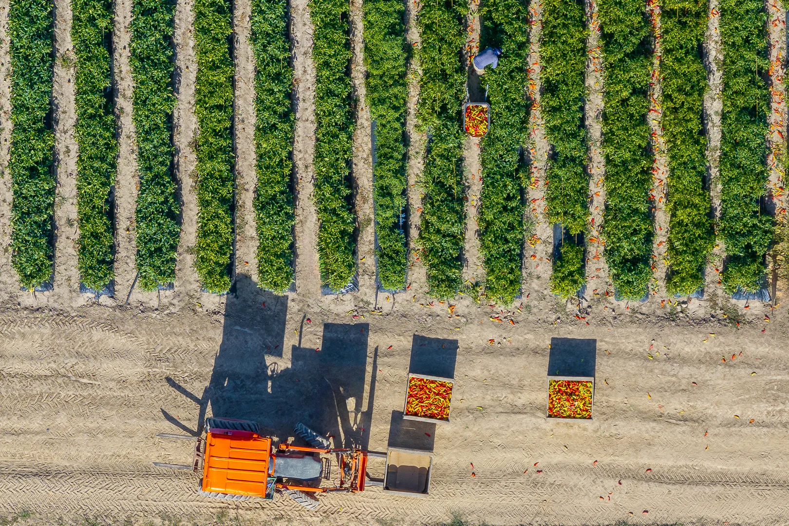 Additional image 5 of 11 Killara Road, Coldstream VIC 3770