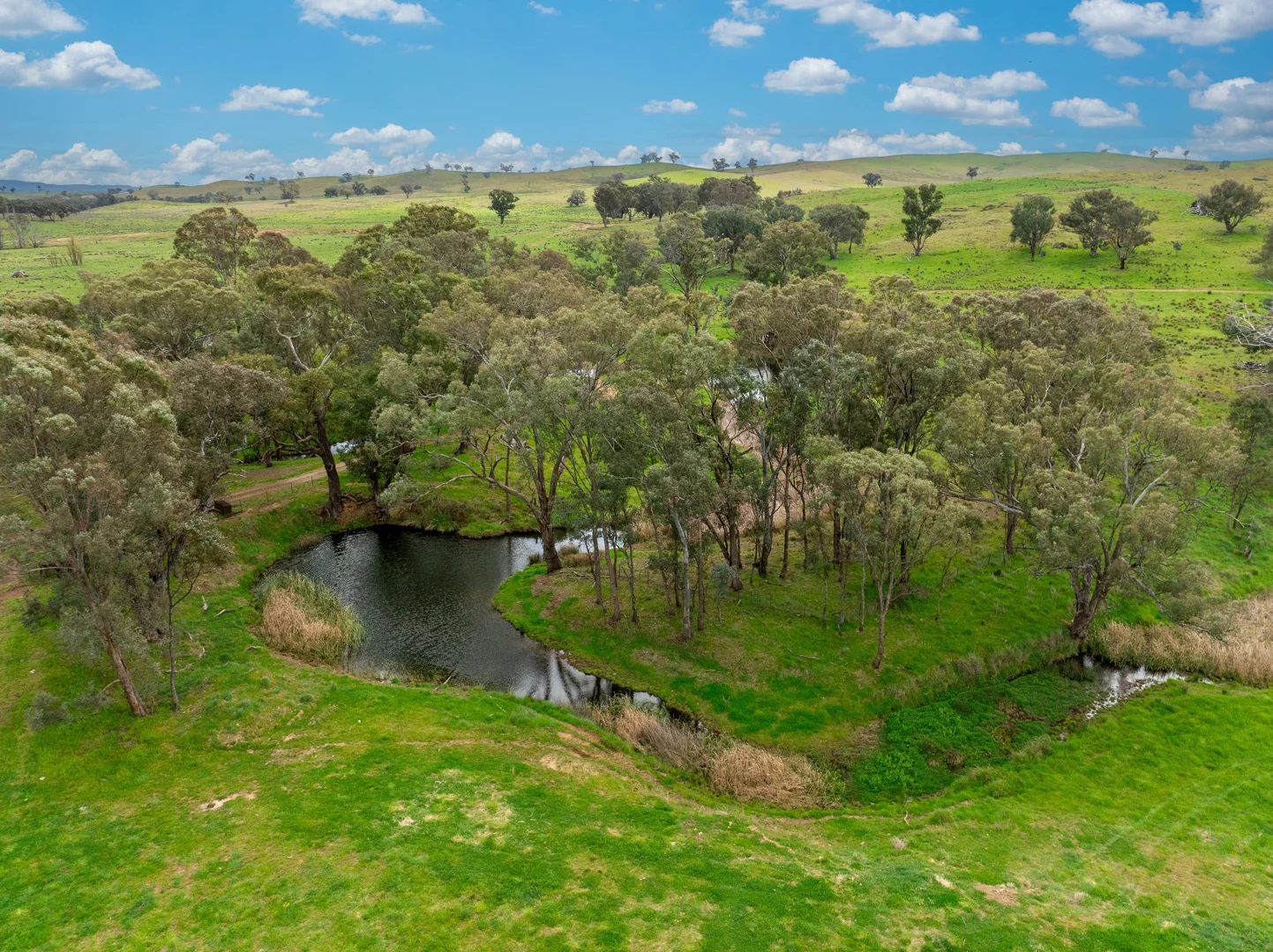Additional image 26 of 'Cronga Peak' 157 Cronga Peak Road, Molong NSW 2866