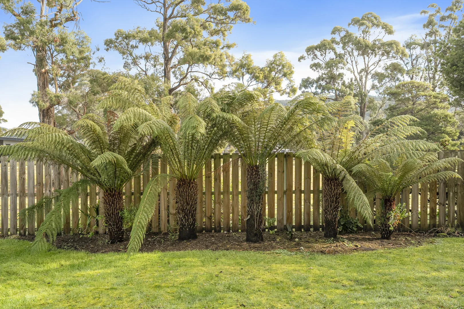 Additional image 26 of 237 Kent Beach Road, Dover TAS 7117