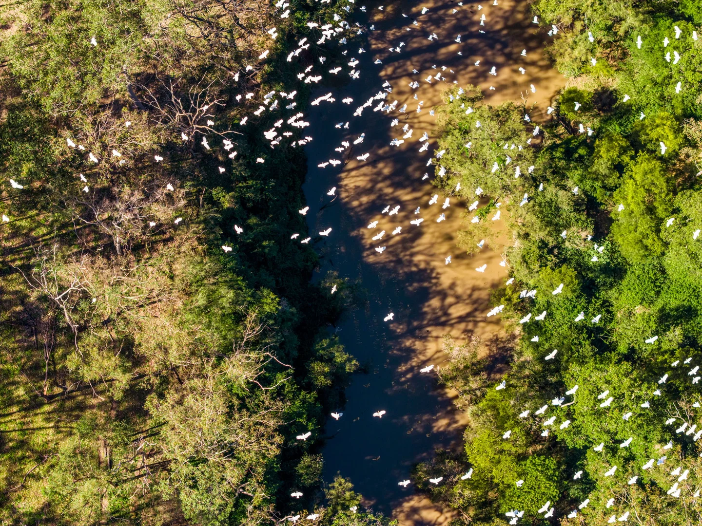 Additional image 24 of 119 Paddys Flat Road, Tabulam NSW 2469