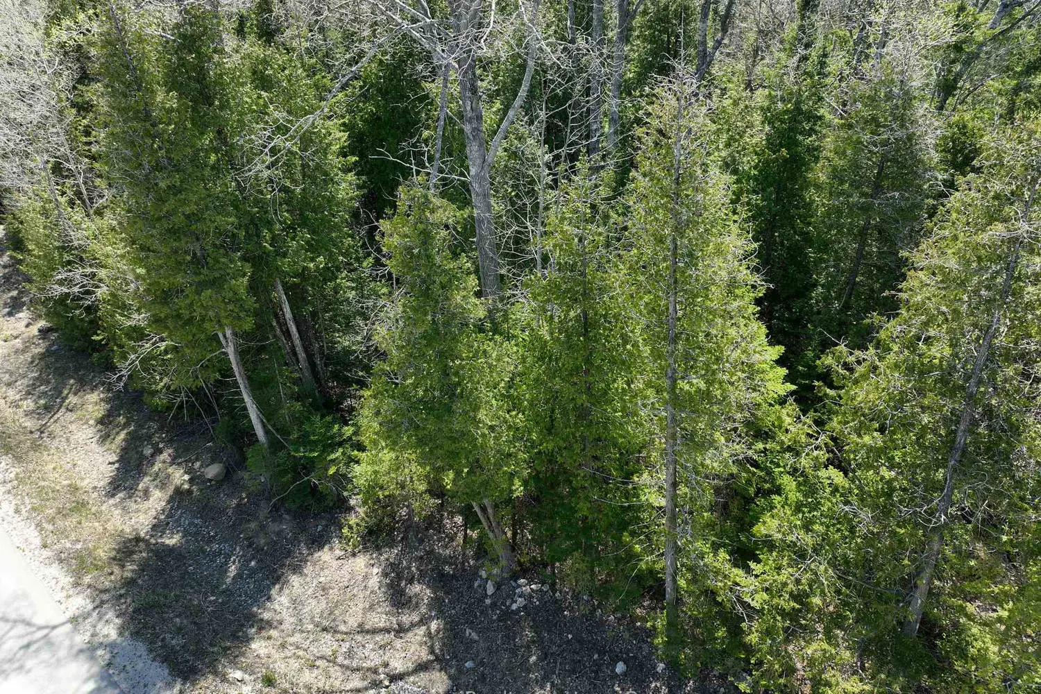 Additional image 3 of Lot 10 Trillium Crossing