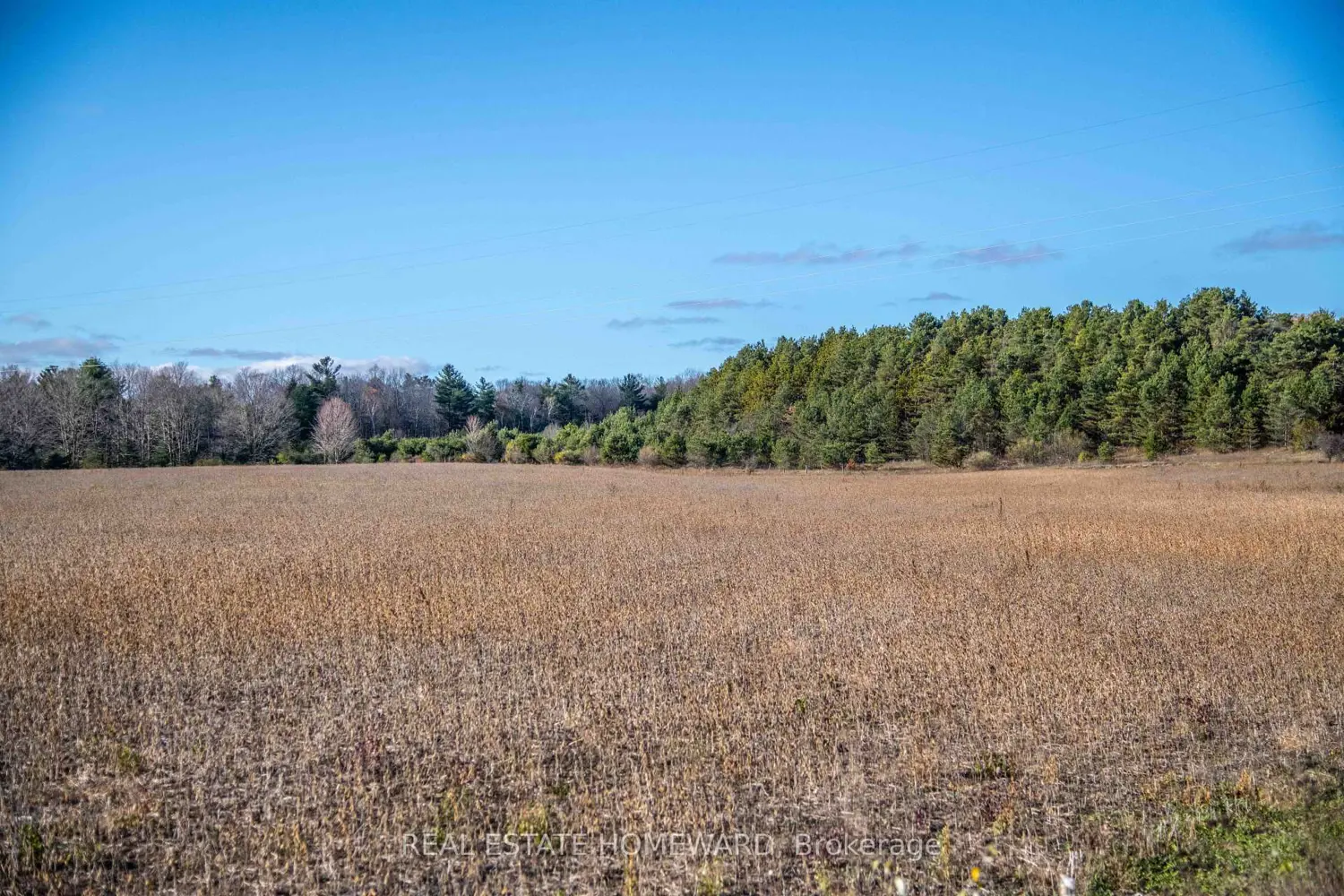 Additional image 6 of 4856 Cold Springs Camp Road