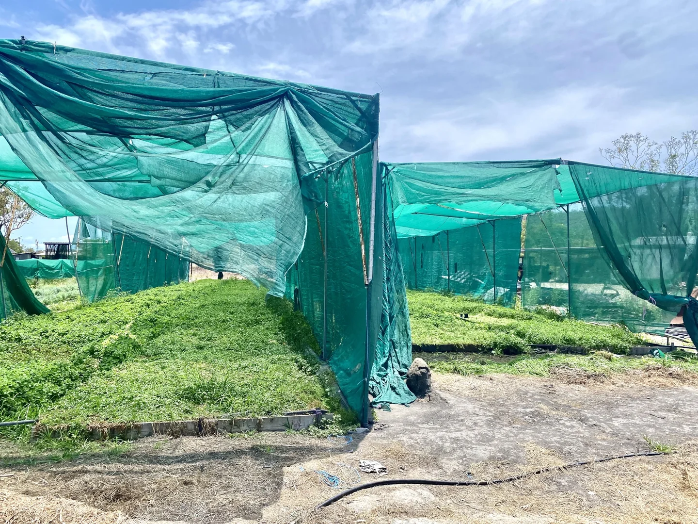 Additional image 19 of 1 Greta Road, Oak Valley QLD 4811