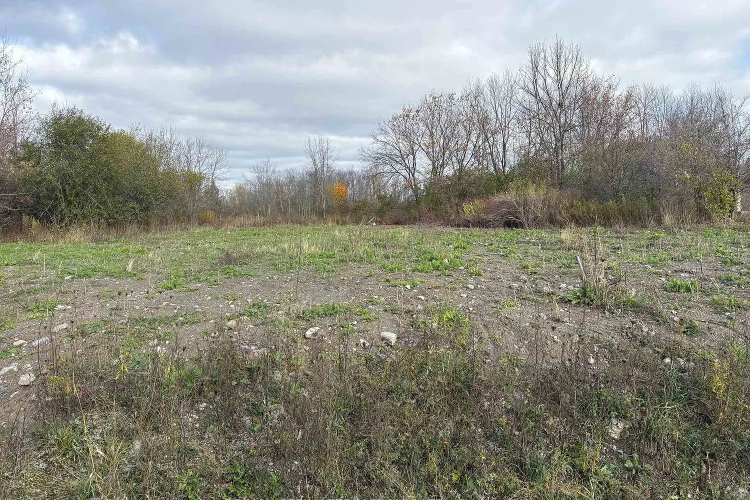 Additional image 8 of 5363 Woodland Road