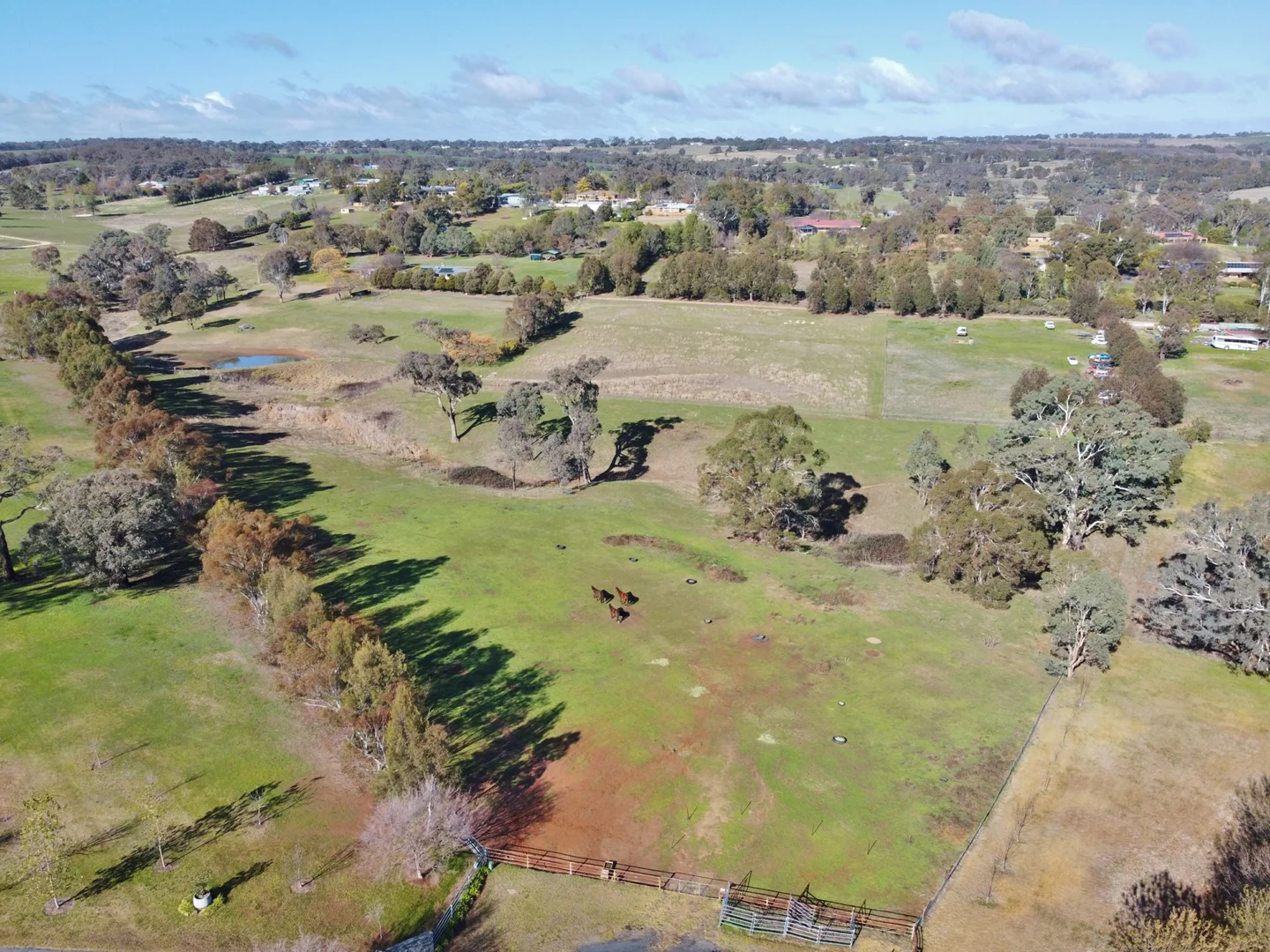 Additional image 9 of 77 Newton Road, Young NSW 2594