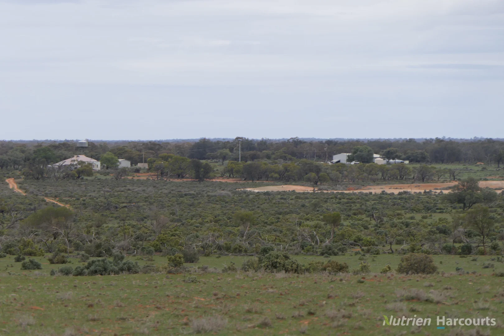 Additional image 32 of * Magenta Aggregation, Balranald NSW 2715