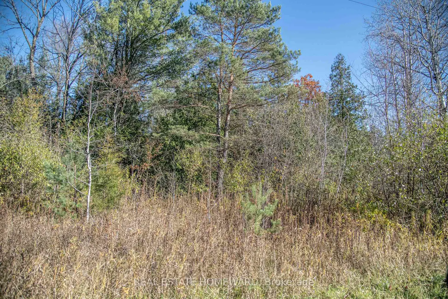 Additional image 14 of 7257 Soper Road