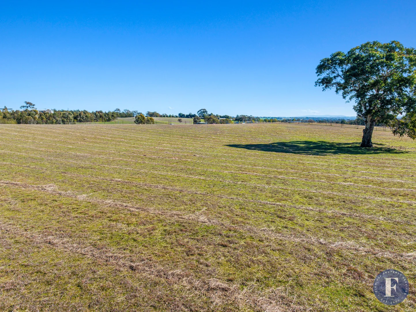 Additional image 5 of 100C Boundary Road, Young NSW 2594