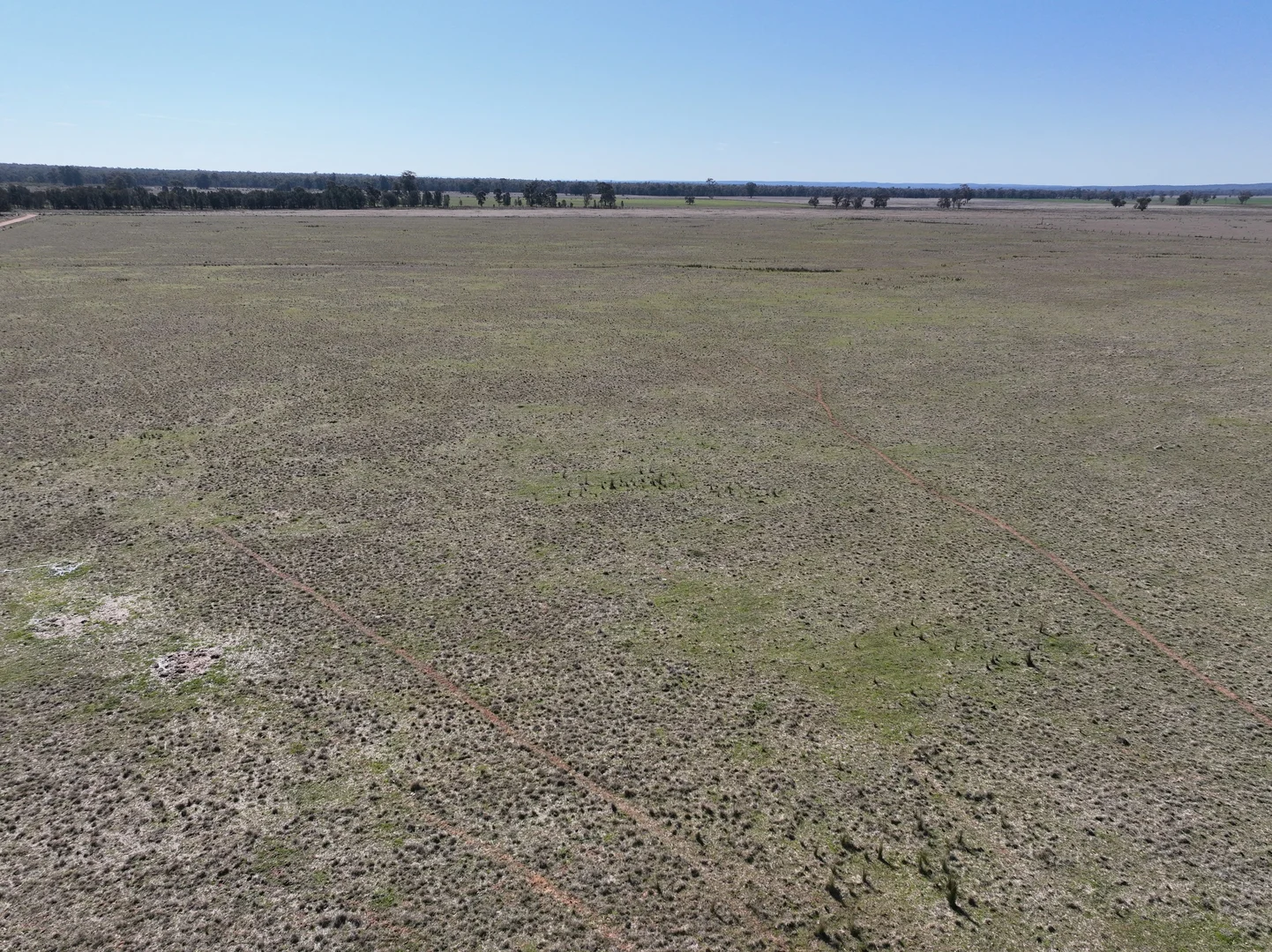 Additional image 6 of 'West Tarrawonga' 56 Donnelly Road, Eumungerie NSW 2822