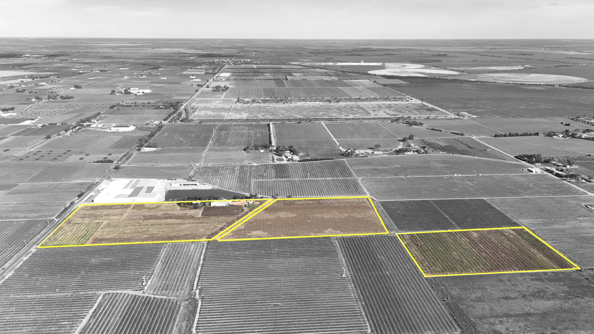 Additional image 4 of 419 North South Road, Woorinen North VIC 3589