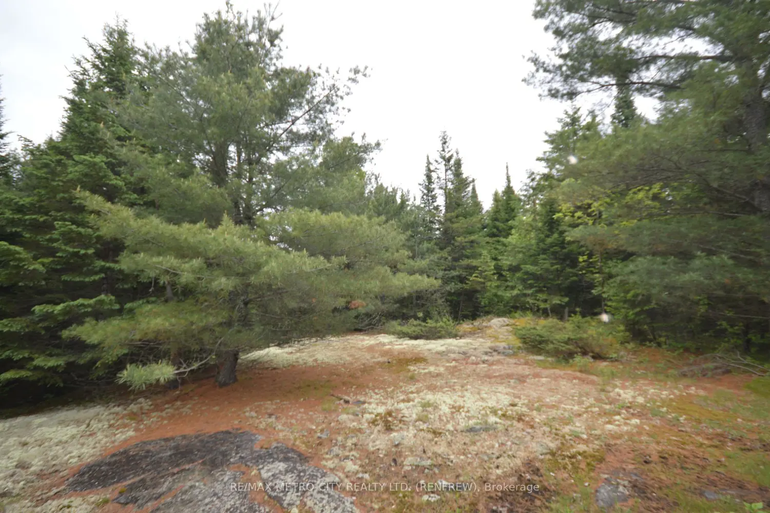 Additional image 8 of 6340 Murphy Road