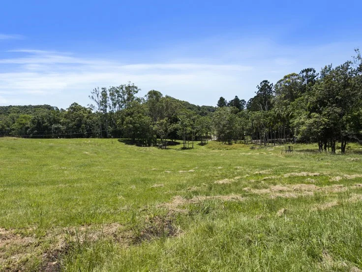 Additional image 11 of 347 Pottsville Road, Sleepy Hollow NSW 2483