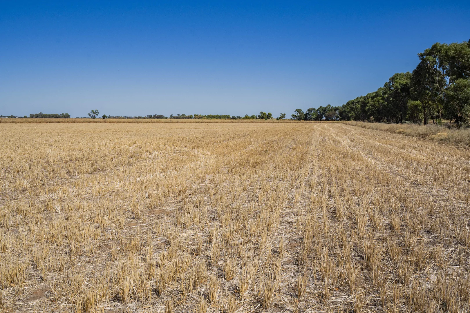 Additional image 5 of 102 Murrami Road, Murrami NSW 2705
