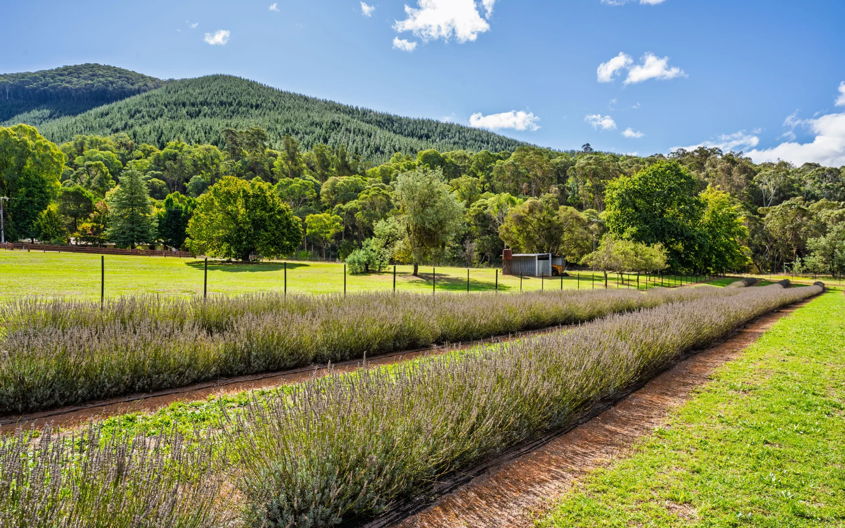 Additional image 38 of 67 Jagoes Gully Road, Wandiligong VIC 3744