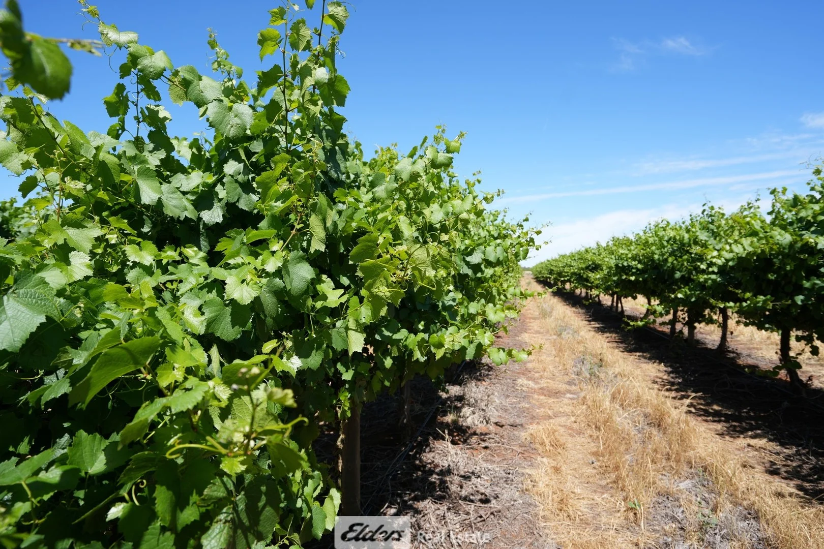 Additional image 2 of 1489 McDonough Road, Yenda NSW 2681