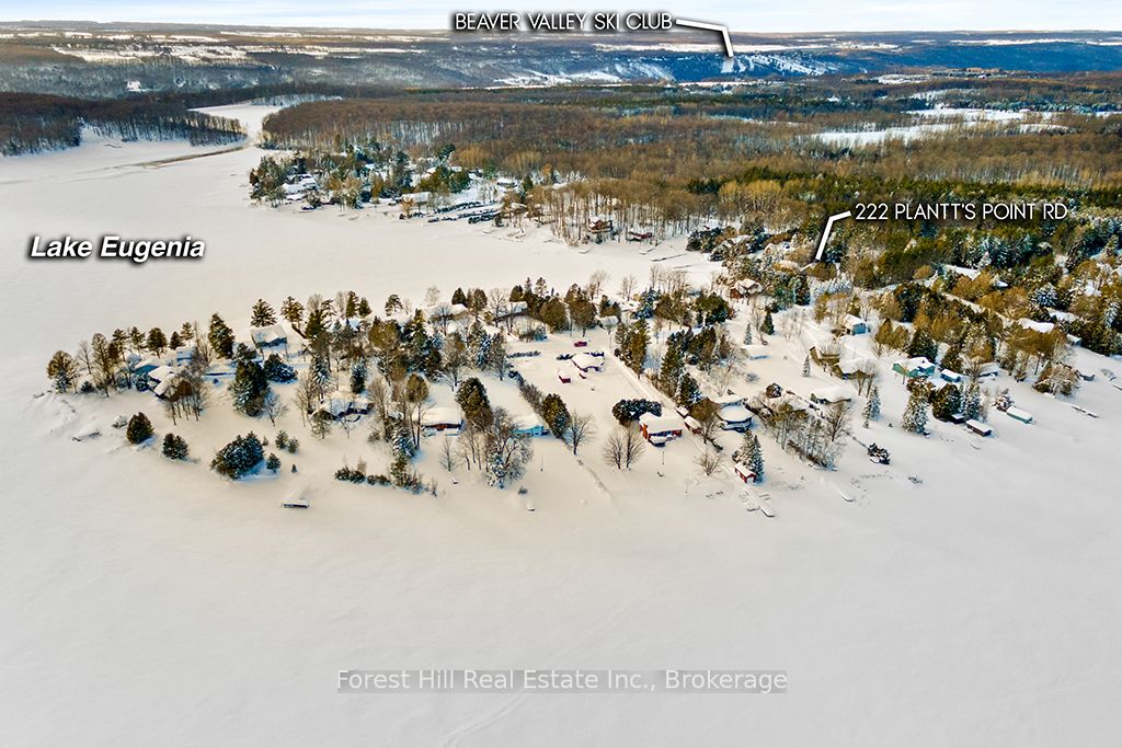 Additional image 2 of 222 Plantt's Point Road, Grey Highlands, ON, N0C 1E0