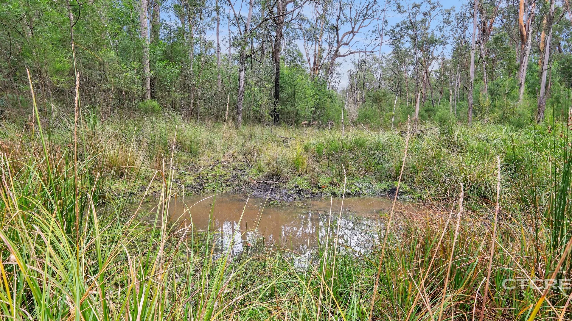 Additional image 24 of 1664 Wangarabell Road, Wangarabell VIC 3891