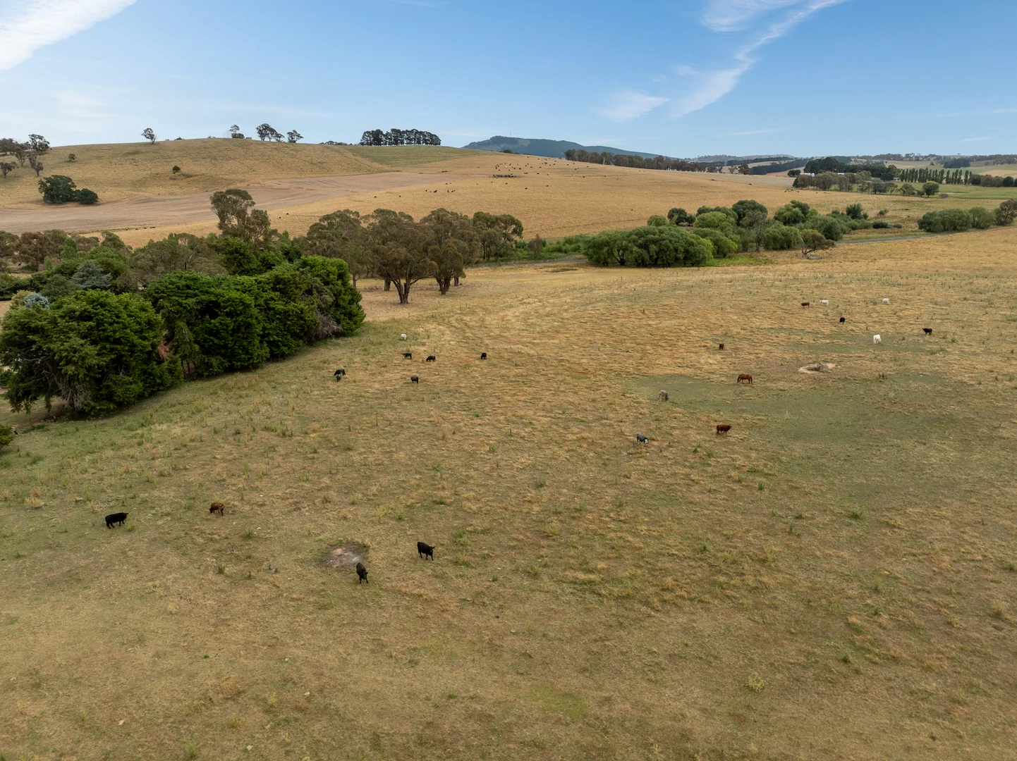 Additional image 52 of 'Top Farm' 1004 Neville-Trunkey Road, Neville NSW 2799