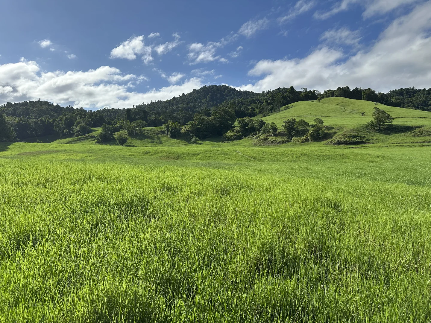 Additional image 13 of Japoonvale QLD 4856