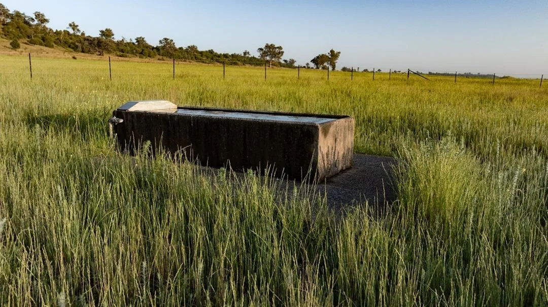 Additional image 16 of Garrambeel, Bingara NSW 2404