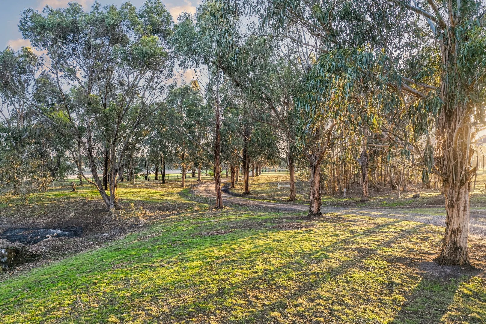 Additional image 21 of 95 Russell Street, Modewarre VIC 3240