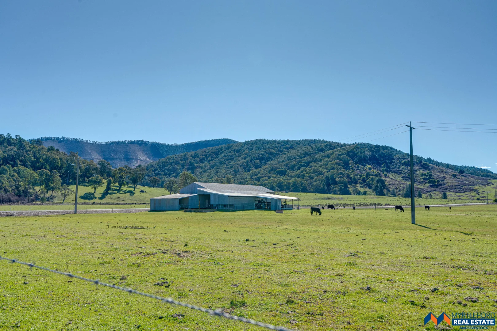 Additional image 26 of 367 Merriang South Road, Myrtleford VIC 3737