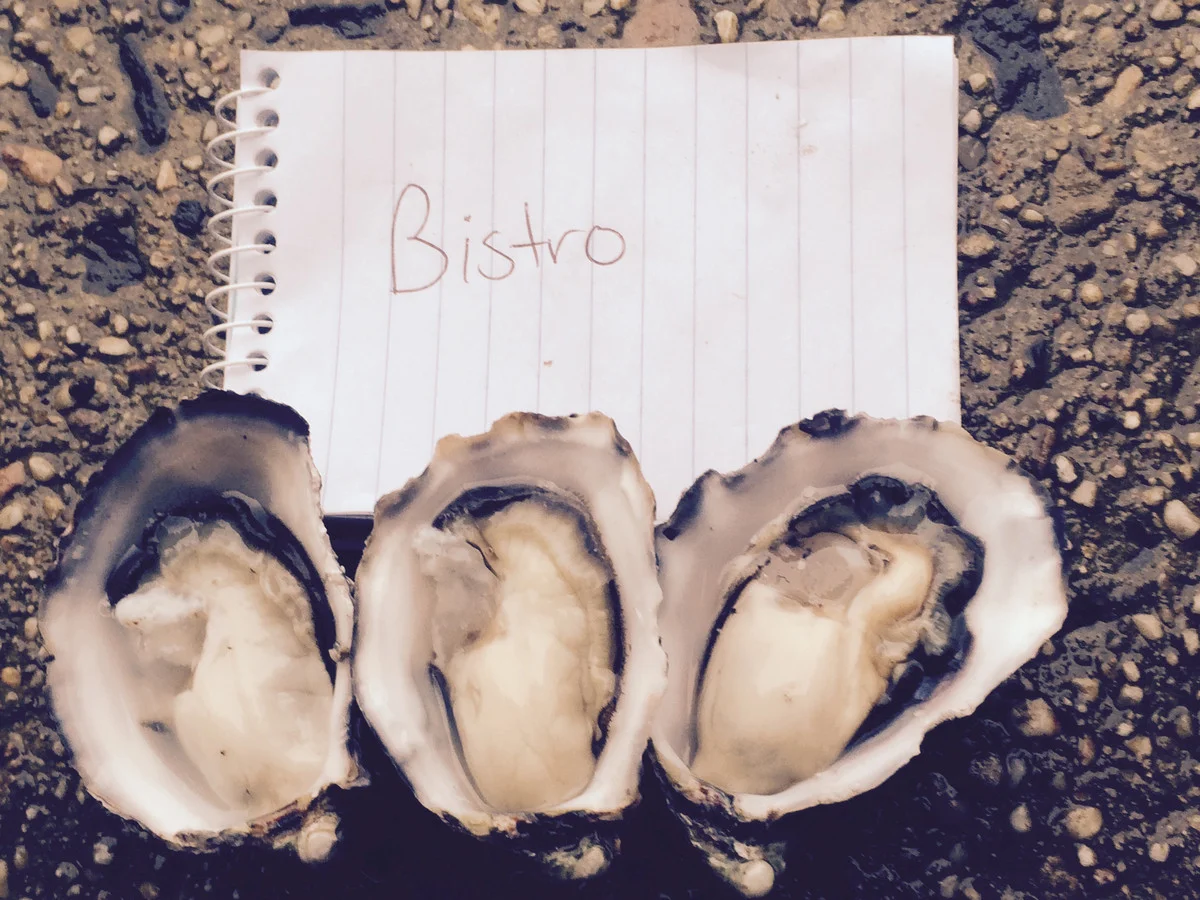 Additional image 11 of Tongue Road, Hastings TAS 7109