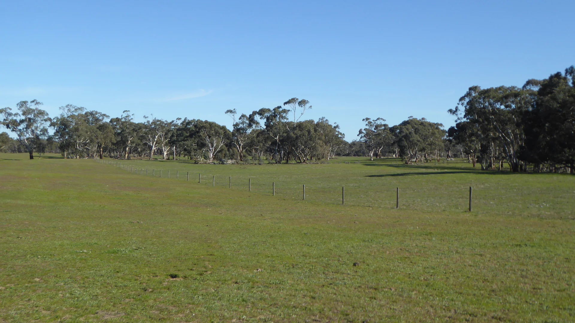 Additional image 24 of 2147 Bangham Road, Frances SA 5262