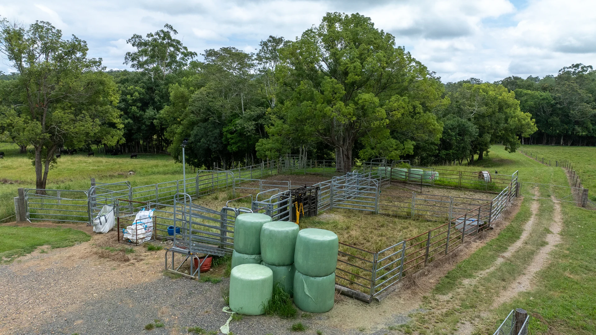 Additional image 33 of 300 Martells Road, Bellingen NSW 2454