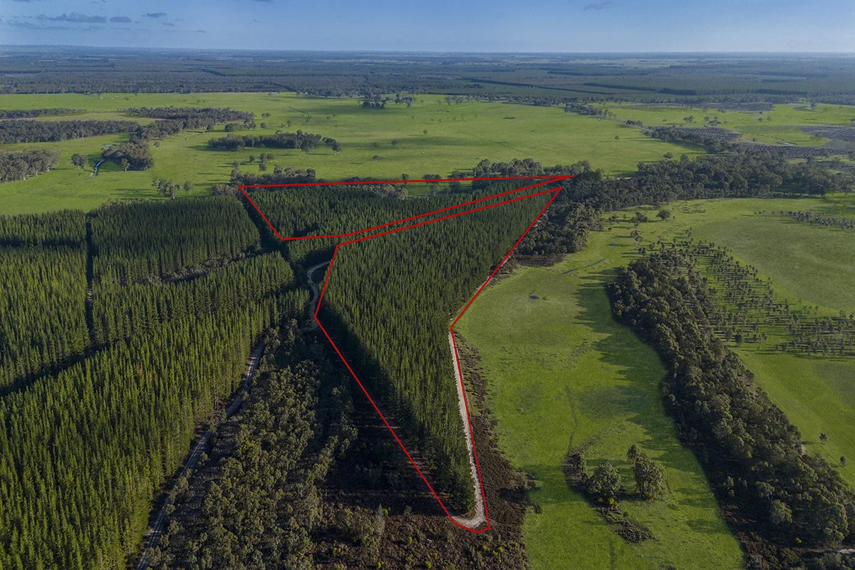 Additional image 7 of 125 Moonlight Road, Killara VIC 3312