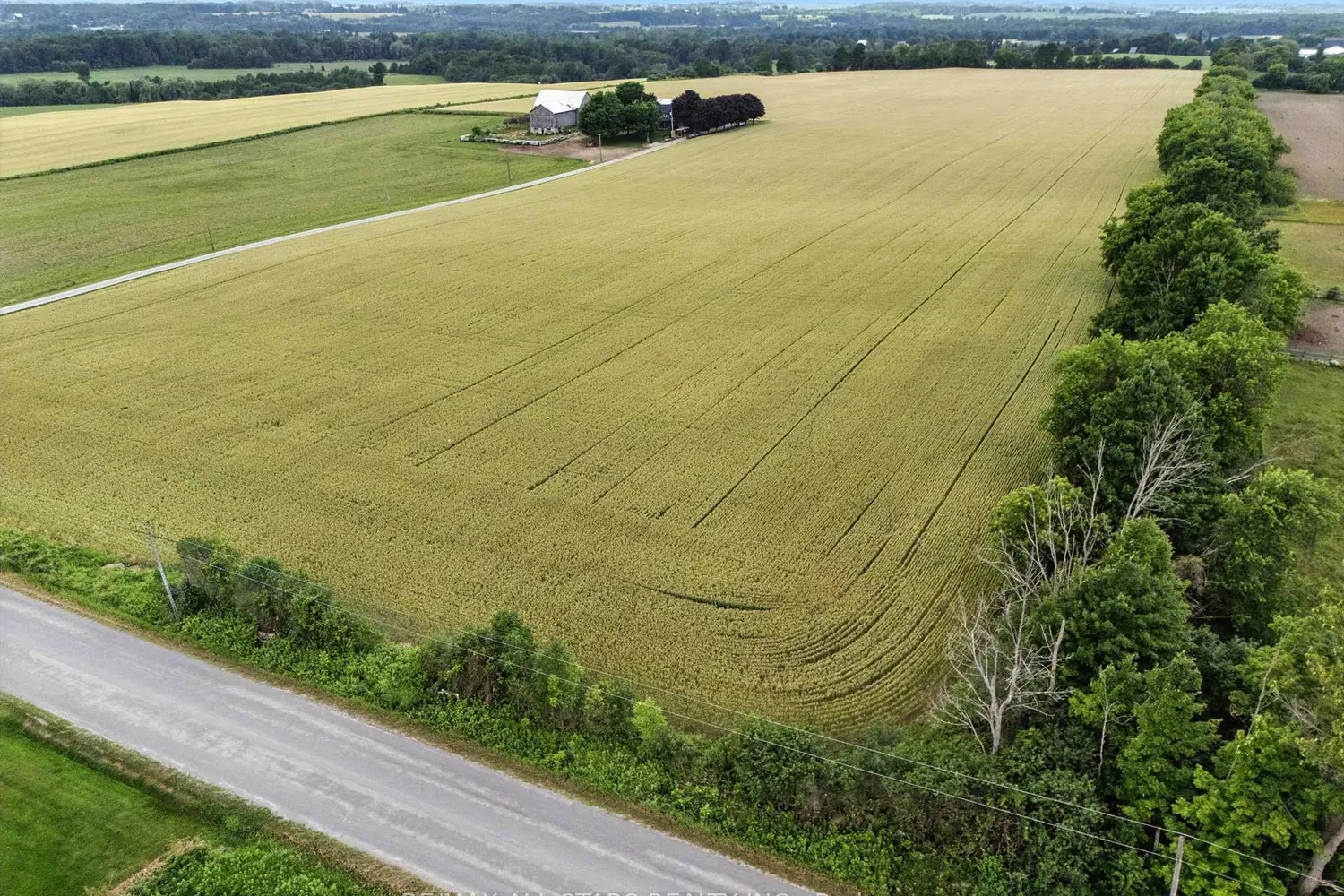 Additional image 4 of 0 Scugog Line 4