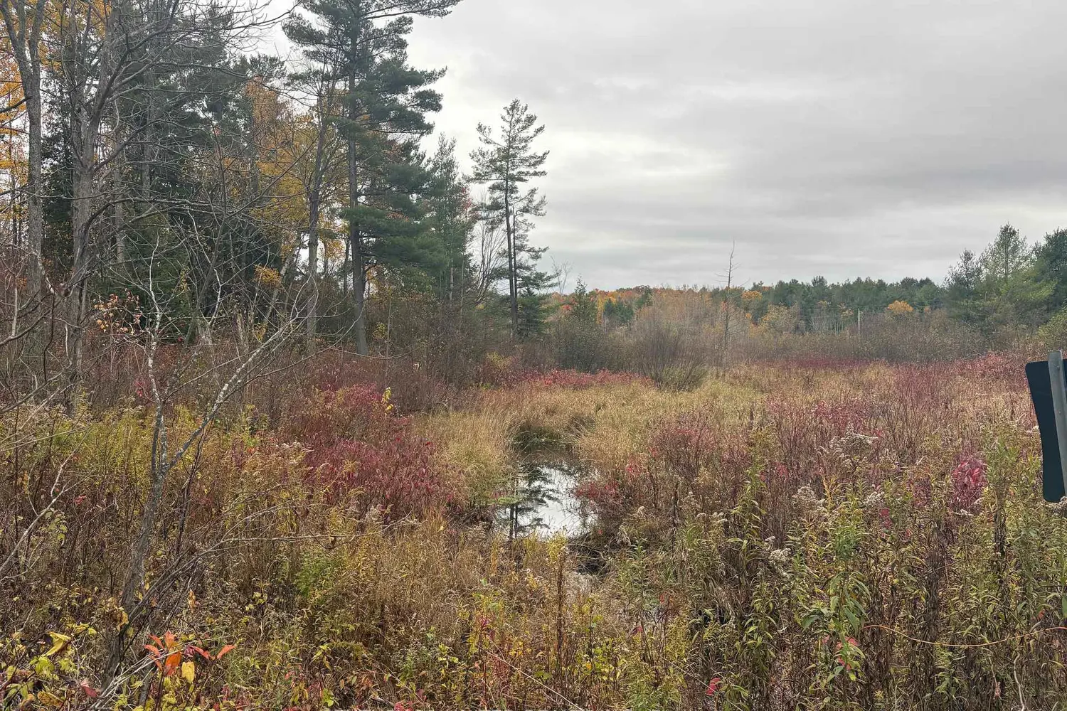 Additional image 10 of 0 Godolphin Road